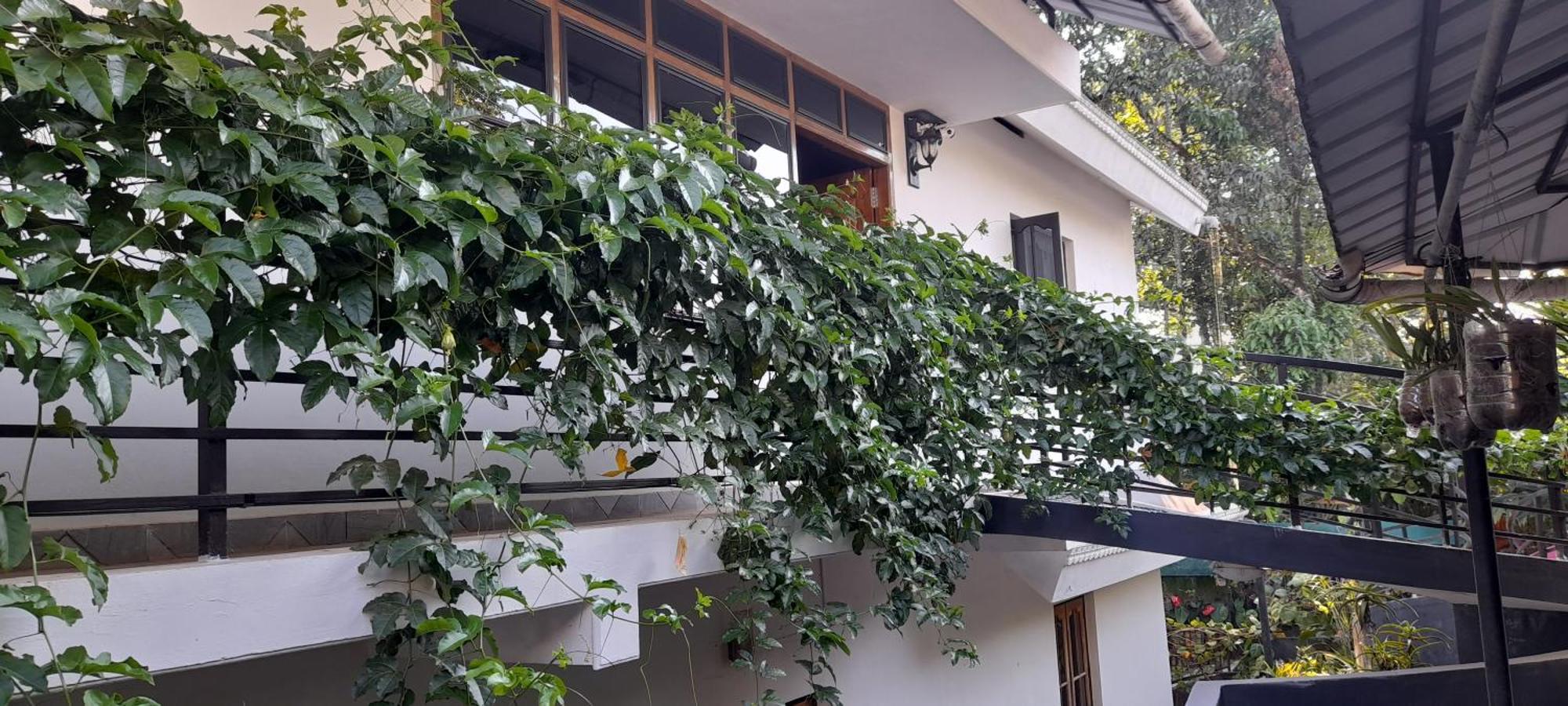 Le Farmhouse Munnar Anachal Exterior photo