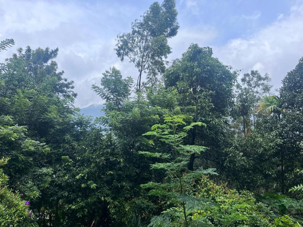 Le Farmhouse Munnar Anachal Exterior photo